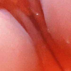 Video by mollychan published on March 8,2023 10:48:00 - BestThots