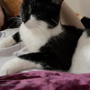 Video by infatuatedkitty published on July 6,2023 09:38:00 - BestThots