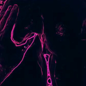 Video by thedarkmeowsidde published on May 17,2023 11:04:00 - BestThots