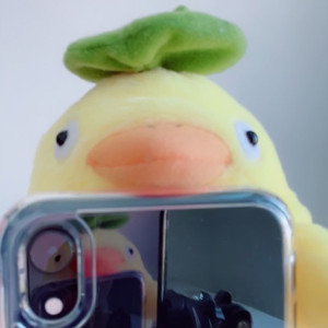 Video by funsizedasian published on April 9,2023 12:27:00 - BestThots