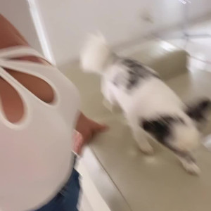 Video by amberriley published on August 20,2023 17:50:52 - BestThots