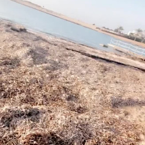 Video by amberriley published on August 20,2023 17:56:25 - BestThots