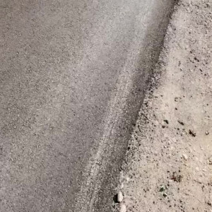 Video by amberriley published on August 20,2023 17:59:13 - BestThots