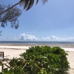 Video by amberriley published on August 20,2023 18:02:29 - BestThots