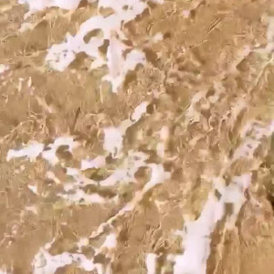 Video by amberriley published on August 11,2023 00:39:00 - BestThots