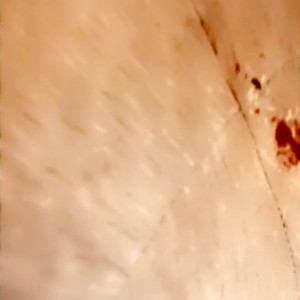 Video by amberriley published on March 6,2023 15:40:00 - BestThots