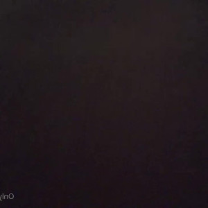 gassypanda #4210978