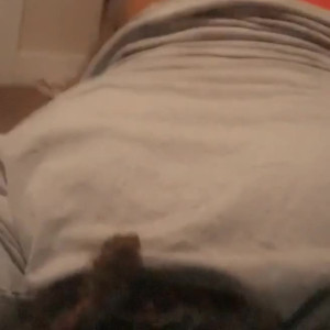 caliass #4220785