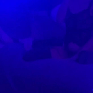 Video by fraidybaby published on April 2,2023 21:26:00 - BestThots