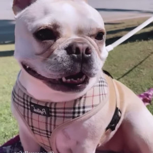 Video by laurencorazza published on August 6,2023 11:47:00 - BestThots