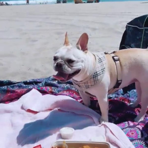 Video by laurencorazza published on July 18,2023 10:36:00 - BestThots