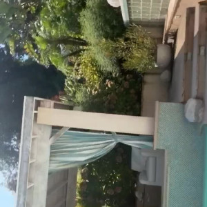 alexiaanders #5556805