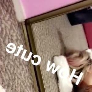Video by tooexoticbaby published on June 12,2023 01:15:00 - BestThots
