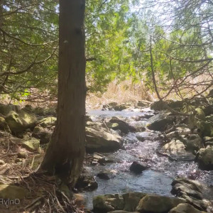 karmaroused #5739915