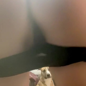Video by littlekendell published on May 1,2023 13:27:00 - BestThots