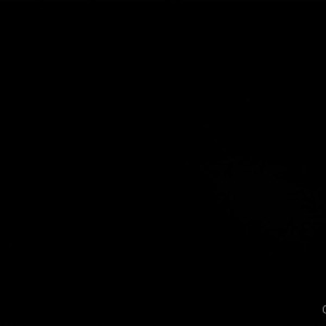 Video by ella_foxx published on August 20,2023 19:29:58 - BestThots