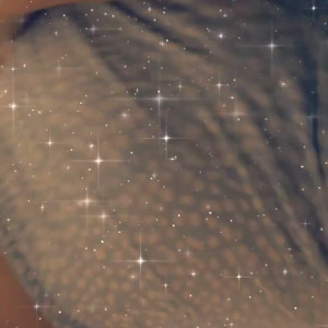 Video by jessikat published on May 13,2023 23:09:00 - BestThots