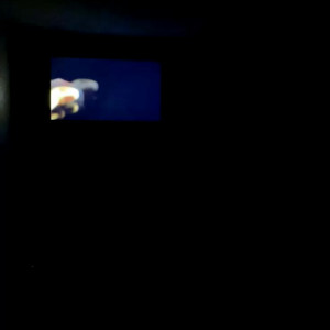Video by ayannacharelle published on November 28,2023 22:24:01 - BestThots
