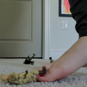Video by lisaasmr published on March 23,2023 21:09:00 - BestThots