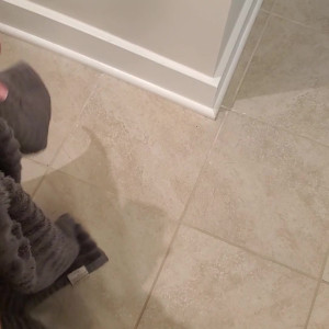 Video by lisaasmr published on March 16,2023 21:44:00 - BestThots