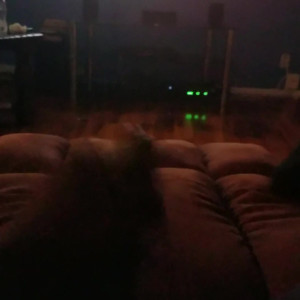 Video by natturnher published on April 3,2023 00:29:00 - BestThots