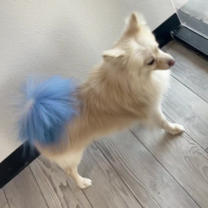 Video by mssnewbooty published on April 9,2023 08:00:00 - BestThots
