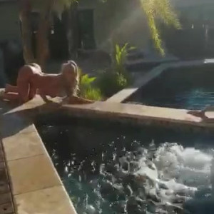 Video by mssnewbooty published on August 9,2023 15:28:00 - BestThots