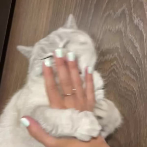 Video by sojourncouple published on July 31,2023 16:49:00 - BestThots