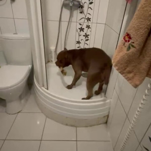 Video by sojourncouple published on July 18,2023 01:13:00 - BestThots