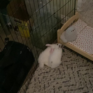 Video by stanshinobu published on June 11,2023 19:18:00 - BestThots