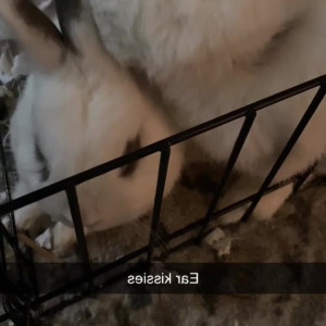 Video by stanshinobu published on March 16,2023 11:53:00 - BestThots