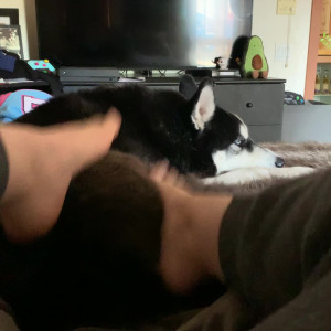 Video by candicealice published on March 7,2023 20:57:00 - BestThots