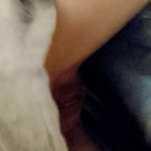 Video by haley420 published on March 7,2023 18:01:00 - BestThots
