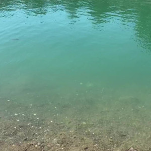 Video by froggeefeetvip published on August 20,2023 20:53:05 - BestThots