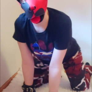 Video by kodi_pup published on May 20,2023 18:33:00 - BestThots