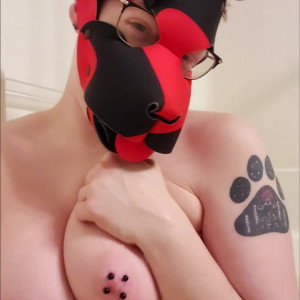 Video by kodi_pup published on March 3,2023 03:26:00 - BestThots