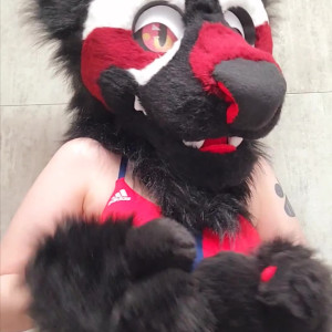 Video by kodi_pup published on March 23,2023 21:21:00 - BestThots
