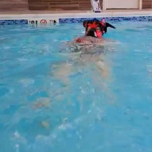 Video by kodi_pup published on May 29,2023 02:39:00 - BestThots