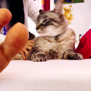 Video by maricahase published on March 23,2023 09:14:00 - BestThots