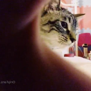 Video by maricahase published on June 28,2023 07:20:00 - BestThots