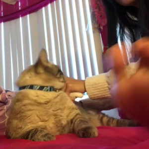 Video by maricahase published on April 28,2023 14:15:00 - BestThots