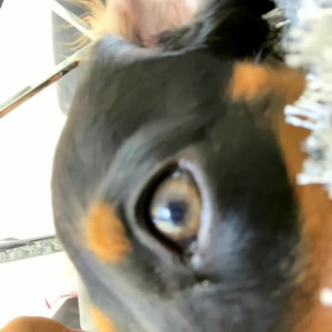 Video by vinaskyy published on April 4,2023 21:44:00 - BestThots