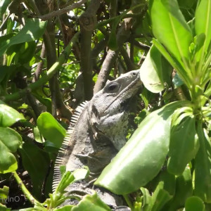 Video by araqueenbae published on August 3,2023 03:53:00 - BestThots