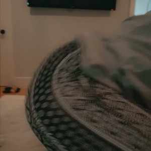 Video by nova_starr published on March 21,2023 15:22:00 - BestThots