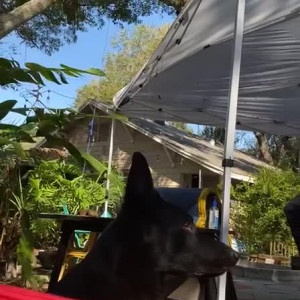 Video by naomiswann published on August 4,2023 20:09:00 - BestThots