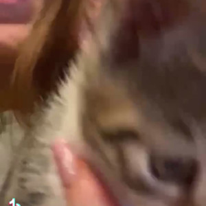 Video by jessiebuns published on July 22,2023 09:03:00 - BestThots