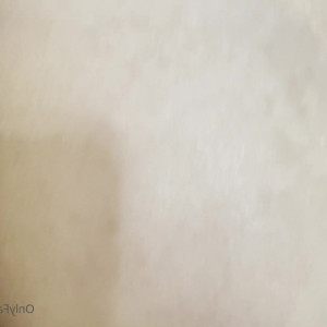 Video by kazumisworld published on June 2,2023 07:17:00 - BestThots