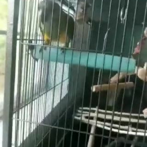 Video by charlotte1996 published on January 10,2024 01:09:04 - BestThots