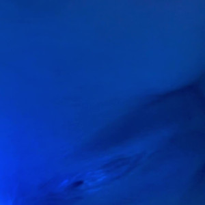 Video by marleyrocky published on April 18,2023 12:03:00 - BestThots