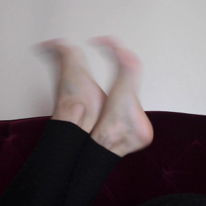 vixenarches #4702127